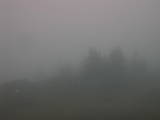 06 : 31
