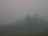 06 : 39