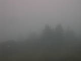 06 : 41