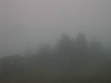 07 : 03