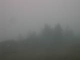 07 : 31