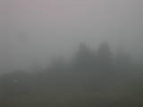 07 : 33