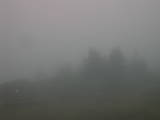 07 : 39