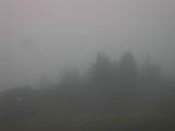 07 : 49