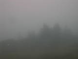 08 : 09