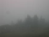 08 : 19