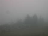 08 : 31