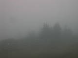 08 : 41
