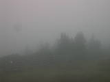 16 : 13
