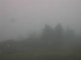 16 : 17