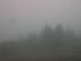 16 : 21