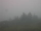 16 : 29