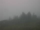 17 : 13