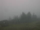 17 : 17