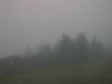 17 : 21