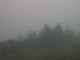 17 : 25