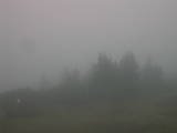 17 : 37