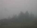 17 : 49