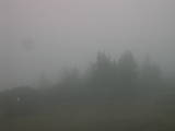 17 : 53