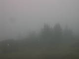 18 : 09