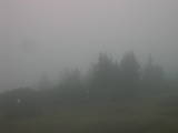 18 : 25