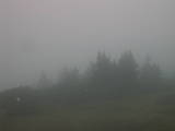 18 : 29