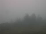 18 : 37