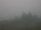 18 : 41