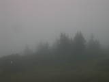 18 : 53