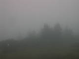 19 : 01