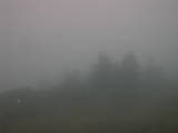 19 : 05
