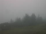 19 : 17