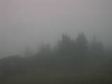 19 : 21