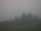 19 : 25