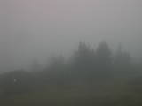19 : 33