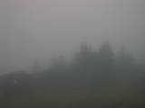 19 : 37