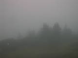 19 : 41