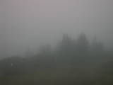 20 : 05