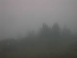 20 : 11