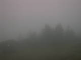 20 : 13