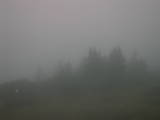 20 : 15