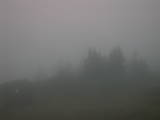 20 : 17