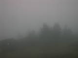 20 : 21