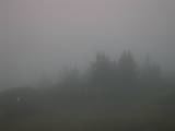 20 : 31