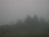 20 : 33