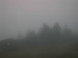 20 : 35