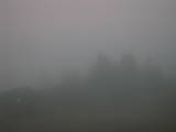 20 : 37