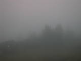 20 : 38