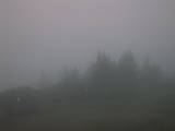 20 : 41