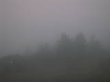 20 : 43